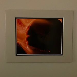 Original Maine Print Fire and Sand Dollar.